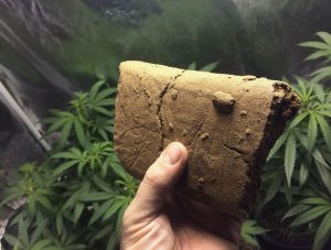 برای ترک حشیش چی بخوریم