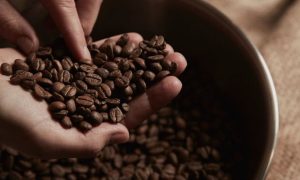 آیا قهوه مرفین دارد؟