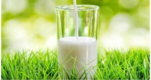 بهترین نوشیدنی ها برای ترک کمیکال 2 شیر بهترین نوشیدنی برای ترک کمیکال