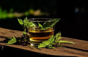 بهترین نوشیدنی ها برای ترک ماشروم 3 دمنوش نعنا بهترین نوشیدنی ها برای ترک ماشروم